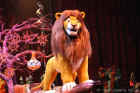 Animal Kingdom Lion King 2005-009.jpg (147431 bytes)