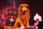 Animal Kingdom Lion King 2005-021.jpg (151085 bytes)