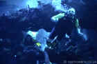 EPCOT DiveQuest DVD-008.jpg (72001 bytes)