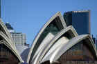 Sydney 2007 390.jpg (105329 bytes)